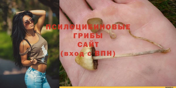 mdma Тайга