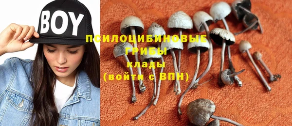 спайс Сясьстрой