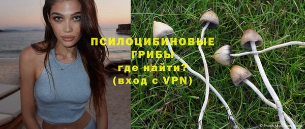 скорость Тавда