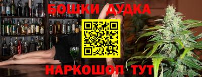 прущие грибы Будённовск