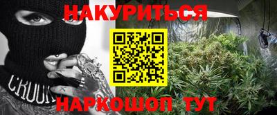 прущие грибы Будённовск