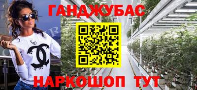 прущие грибы Будённовск