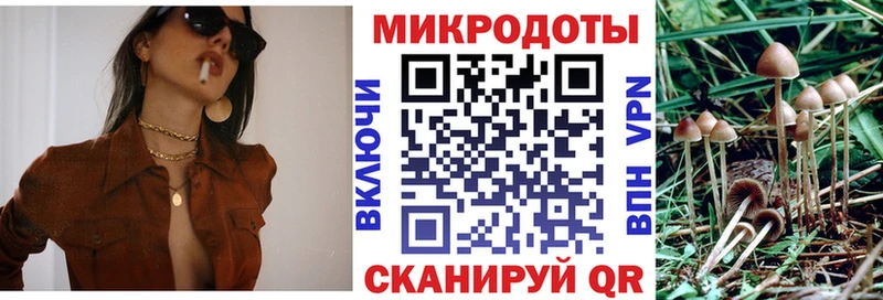 Галлюциногенные грибы GOLDEN TEACHER  OMG сайт  Кемерово 