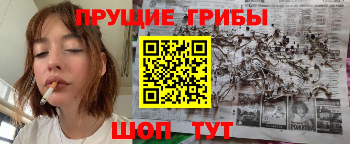 Галлюциногенные грибы Magic Shrooms  хочу наркоту  Кемерово  Галлюциногенные грибы Magic Shrooms 